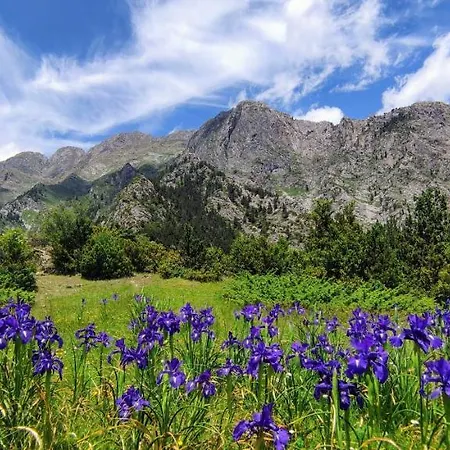 דירה Pleta Del Mon Atico בנאסקה