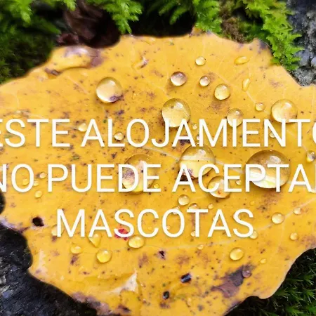 דירה Pleta Del Mon Atico בנאסקה