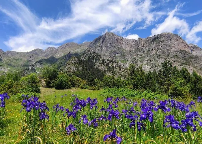 Apartment Pleta Del Mon Atico Benasque